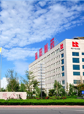 ������ҩ